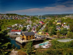 Quidi Vidi